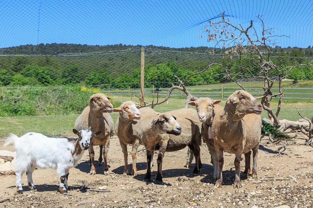 Villa Le Luberon Lou Mas Li Pitchoun à Gordes France