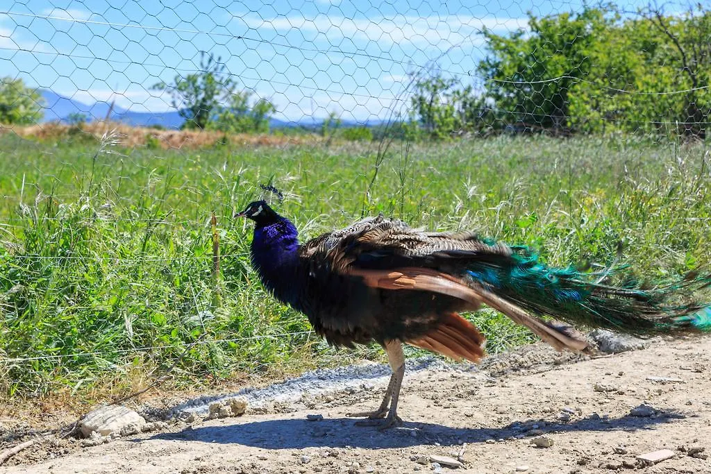 Hébergement de vacances Villa Le Luberon Lou Mas Li Pitchoun à Gordes France